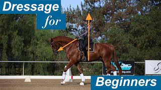 Dressage for Beginners [upl. by Aizirtap]