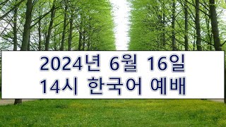 【横浜キリスト教会】韓国語礼拝 2024616 [upl. by Dugaid]