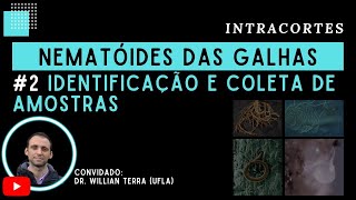 2 Identificação de nematóides das galhas Meloidogyne e coleta de amostras [upl. by Ainosal855]