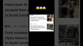 43 monkeys escaped from South Carolina Research facility center trending viralvideo [upl. by Keefe]