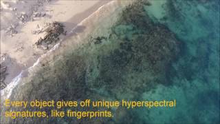 QUTs hyperspectral camera and UAV system at work above Ningaloo Reef [upl. by Aylward]