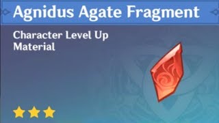 HOW TO GET AGNIDUS AGATE FRAGMENT MATERIALS Genshin Impact [upl. by Millisent]