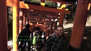 Fushimi Inari Shtine Kyoto Japab [upl. by Rycca]