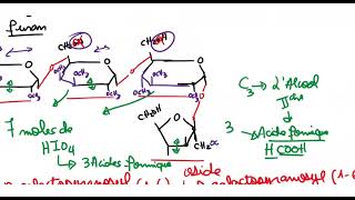 Biochimie structurale Révisons Partie 03 Exercise Glucides [upl. by Leahey83]