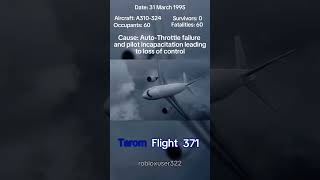 TAROM Flight 371…aviation planecrashes airbus [upl. by Wilen]