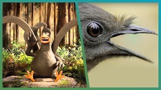 Lyrebird Meets Attenborough ft Aardman Animations Attenborough90  BBC Earth Unplugged [upl. by Aved]