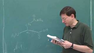 Organic chemistry Amino acids and peptides 6 [upl. by Lemraj]