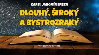 Karel Jaromír Erben Dlouhý Široký a Bystrozraký [upl. by Nisay]