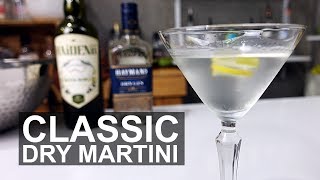 Classic Dry Gin Martini Cocktail Recipe [upl. by Hermina]