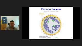 Aula 8 – Infecções por arbovírus [upl. by Adialeda]