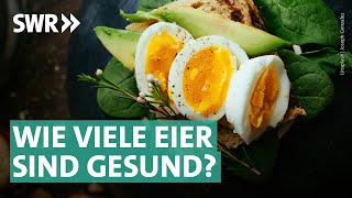 Eier bewusster Genuss und nachhaltige Geflügelhaltung  Marktcheck SWR [upl. by Livia]