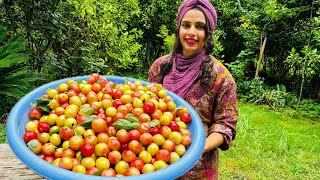 cooking Iranian grill chicken on fire  country girl has guests [upl. by Ylatfen]