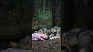 Wolf sleeps with child [upl. by Malena]