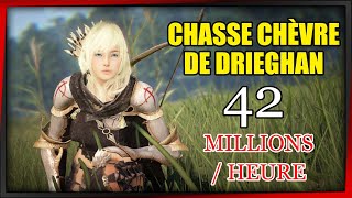 BDO  Chasse chèvre de drieghan 42 Millionsheure [upl. by Eiramanad291]