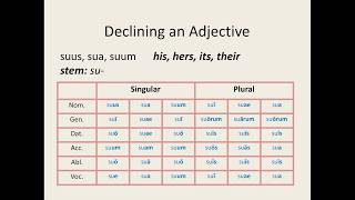 Latin for Beginners Lesson 10 FirstSecond Declension Adjectives [upl. by Ojyma]