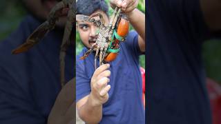 কাঁকড়া কষা  jhal jhal kakra kosha Recipe shorts crab desi chaat chaatrecipe chaatlover [upl. by Bein]