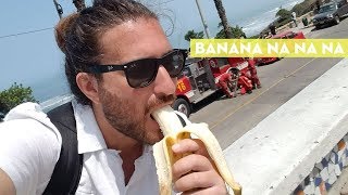 Banana Na Na Na Camila Cabello  Havana Parody Remix [upl. by Dralliw]