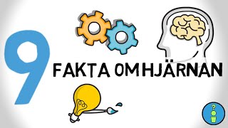 9 FAKTA OM HJÄRNAN [upl. by Alleira]