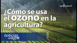 ¿Cómo se usa el ozono en la agricultura 🍃 [upl. by Namqul]