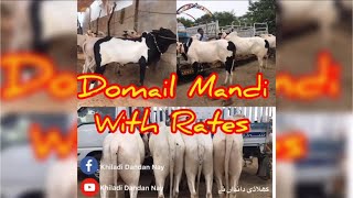 Domail Mandi 2019 With Rates  Part 1  30082019  Fategjang [upl. by Cirdet]