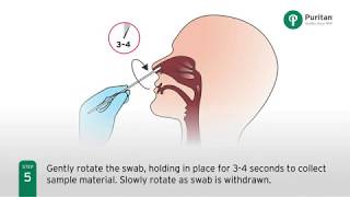 How to Collect a Nasal Swab Specimen [upl. by Elleiram840]