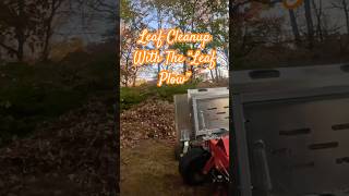 Tybrettlen Leaf Cleanup Service Taunton Ma 02780  5088449785  lawnmaintenance Leafcleanup [upl. by Eniloj]