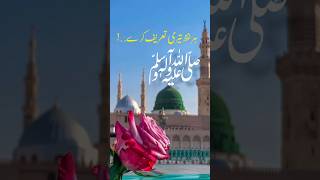 Har lafz Teri tareef kare❤️😍urdu status muhammadﷺ naat shorts [upl. by Motteo996]