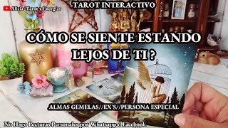 ✨Cómo se Siente estando Lejos de Ti  🙇🏻‍♂️💔 Almas Gemelas Exs 🔥 tarot Interactivo✨ [upl. by Longerich]