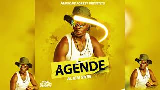 Alien skin  AGENDE  Official Audio Music [upl. by Yenrab]