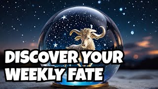 Get Ready for a 🪙LifeChanging NOV Weekly Horoscope Insight🎇 साप्ताहिक राशिफल ✡️saptahikrashifal [upl. by Leibarg233]