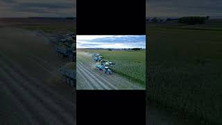 Cutting some later season corn farming claas choppingcorn  Pennway Harvesting [upl. by Hploda]