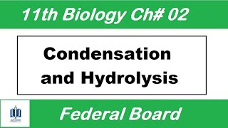 Condensation and Hydrolysis Ch2  class 11 biology fbise  Ilmi Stars Academy [upl. by Muiram]