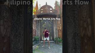 Panantukan x Espada  Kali  Arnis  Eskrima Filipino Boxing and Sword Flow [upl. by Suoiluj]