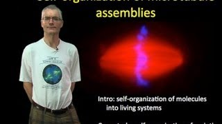 Tim Mitchison Harvard Part 1 Selforganization of microtubule assemblies [upl. by Melonie684]