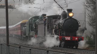 「4K60p」Steam Locomotives 3265 amp 3526 passing near Leura  Blue Mountains Flyer [upl. by Virge]