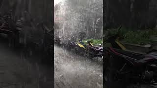 raining sound youtubeshorts rainingsound [upl. by Viking]