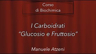 I carboidrati più abbondanti Glucosio e Fruttosio L2 [upl. by Euqinwahs587]