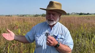 Virtual Hike on the Prairie  Fall Edition with Bruce Schuette [upl. by Edgerton653]