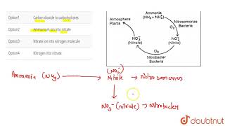 Nitrosomonas and Nitrobacter convert [upl. by Head610]