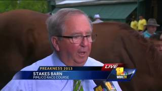 Shug McGaughey reacts to Preakness finish [upl. by Annahsat]