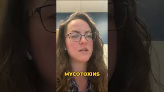 Mycotoxins Impact Health [upl. by Ahseim]