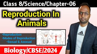 Reproduction In AnimalsClass 8ScienceBiologyCBSE reproduction [upl. by Vernon]