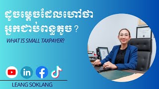 Whats Small Taxpayer [upl. by Anibur]