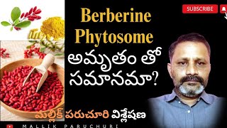 Berberine phytosome ఏయే సమస్యలకు పనిచేస్తుంది నిజంగా అంత అద్భుతమయిన మందు నా [upl. by Tulley]