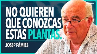 Josep Pàmies – 9 Plantas Medicinales y Tratamientos que las Farmacéuticas Quieren Prohibir  Ep7 [upl. by Noteek575]