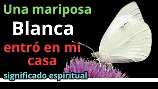 Una mariposa blanca entró en mi casa Significado espiritual [upl. by Crista]