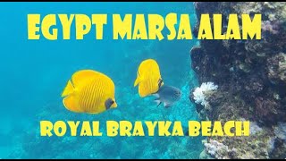 Egypt Marsa Alam  Royal Brayka 2023 [upl. by Weaks]