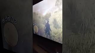 Huesos de dinosaurios en Red Dead Redemption 2 [upl. by Rambow]