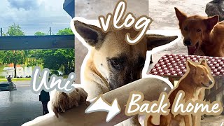 Uni vlog  ของนักศึกษา ปี 1  Bangkok university [upl. by Nguyen]