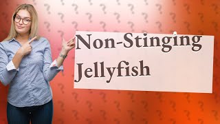 What type of jellyfish dont sting [upl. by Nrev]